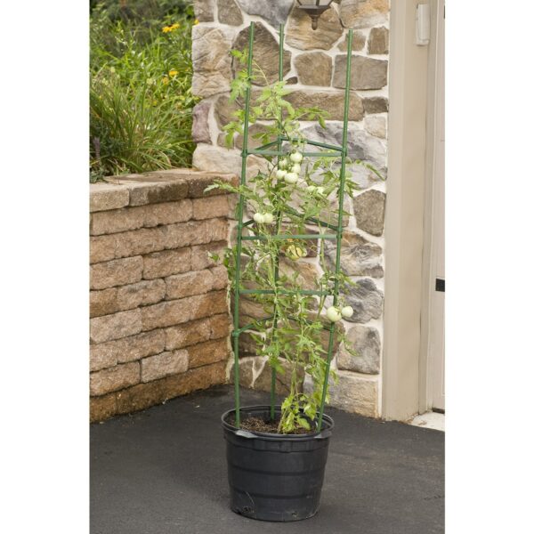 3-Pack of Tomato Plant Cage Climbing Fruit Veggie Garden Trellis - Image 2