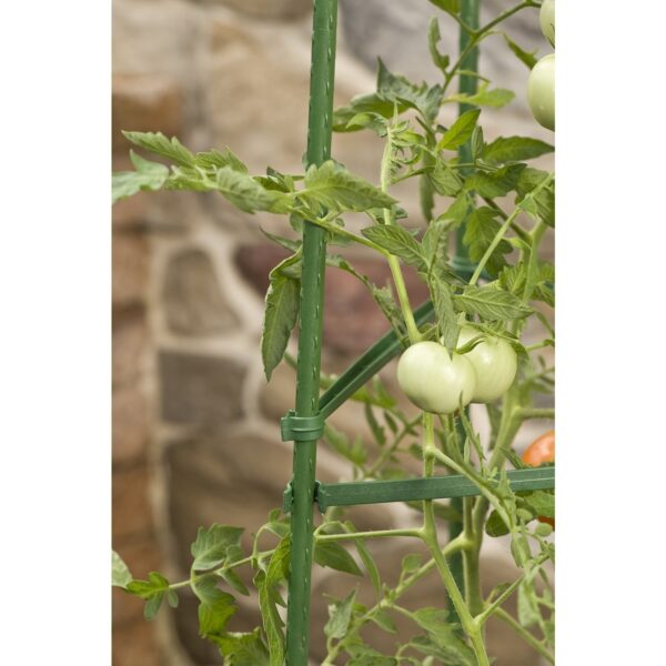 3-Pack of Tomato Plant Cage Climbing Fruit Veggie Garden Trellis - Image 3
