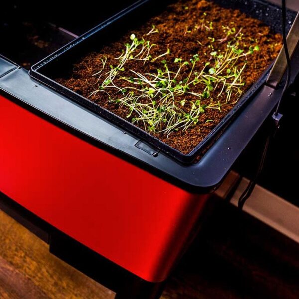 Red Mobile 33.5 in x 24.25 in x 23 in Self Watering Raised Garden on Wheels - Image 4