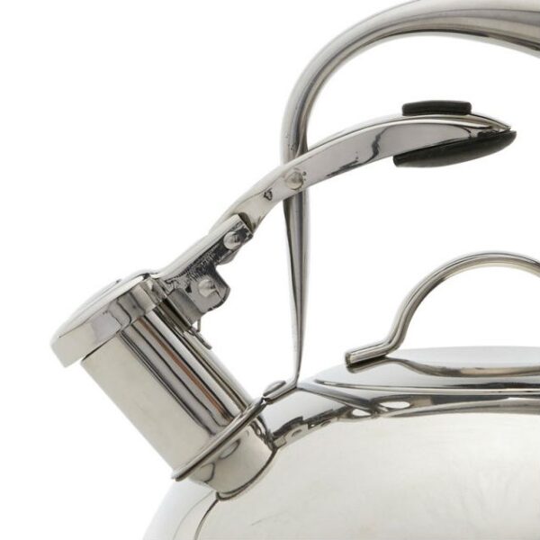 Modern Industrial Stainless Steel 2-qt. Mirrored Tea Kettle - Image 3