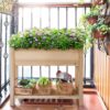 Solid Wood 2-Tier Raised Garden Bed Planter Bed with Bottom Storage Shelf - Image 3