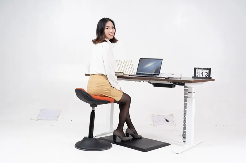 Eisdir DM3 Home Office Furniture Ergonomic Electric Height Adjustable Desk Dual Motors Healthy Sit Stand Desk for Office - Image 5