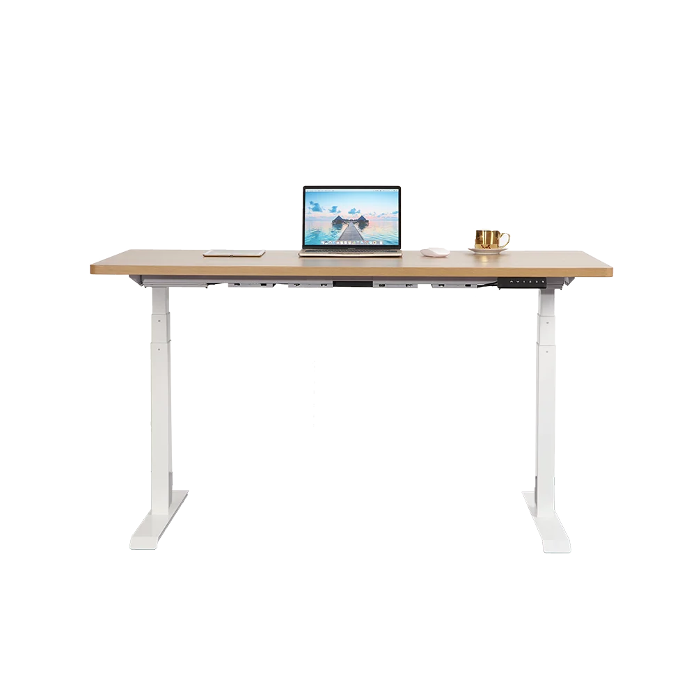 Eisdir DM3 Home Office Furniture Ergonomic Electric Height Adjustable Desk Dual Motors Healthy Sit Stand Desk for Office - Image 4