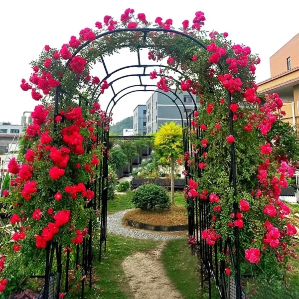DIY Titan Garden Metal Arch Arbor trellis  For Roses, Clematis And Scarlet Runner Beans - Image 2