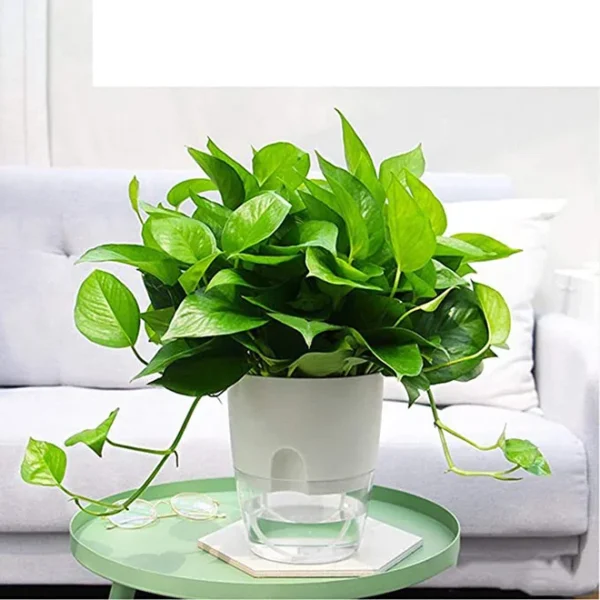3.2 Inch Self Watering Flower Pot Modern Decorative Plastic Planter with Extra Large Water Storage for House Plants - Image 5