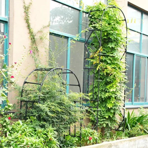 DIY Titan Garden Metal Arch Arbor trellis  For Roses, Clematis And Scarlet Runner Beans - Image 3