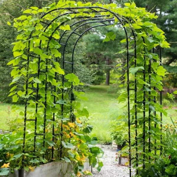 DIY Titan Garden Metal Arch Arbor trellis  For Roses, Clematis And Scarlet Runner Beans - Image 6
