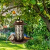 2 In 1 Solar Energy Bird Feeder Waterproof Garden Solar Street Lamp Birdhouse Wall Hanging Bronze Metal Tray Bird Feeder Outdoor - Image 4