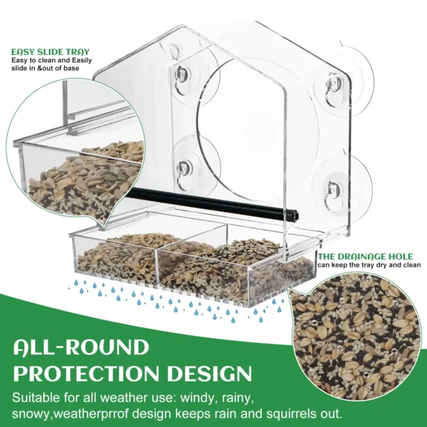 Large Window Bird Feeder with Strong Suction Cups – Perfect for Cardinals & More - Image 2