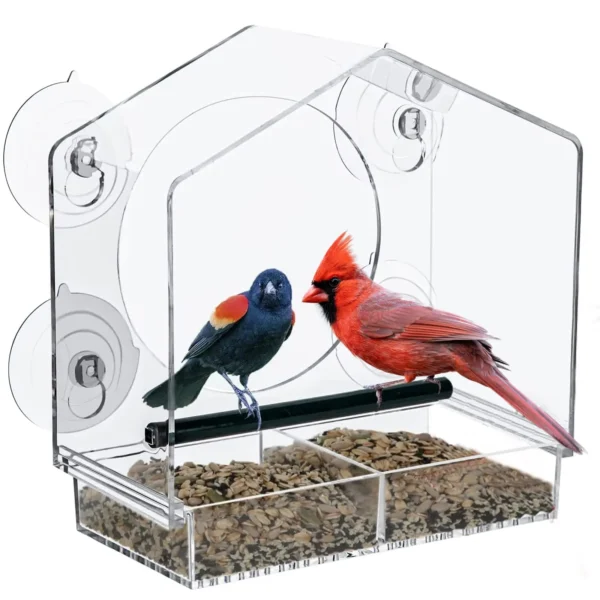 Large Window Bird Feeder with Strong Suction Cups – Perfect for Cardinals & More - Image 6