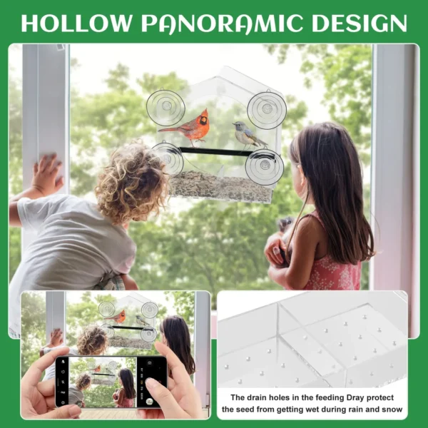 Large Window Bird Feeder with Strong Suction Cups – Perfect for Cardinals & More - Image 4